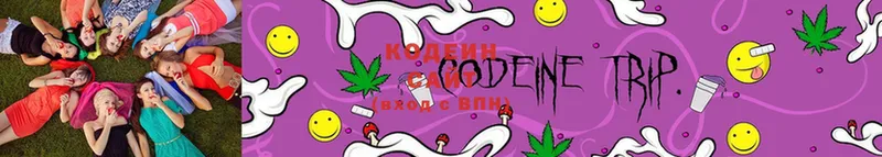 Кодеиновый сироп Lean Purple Drank  Славск 